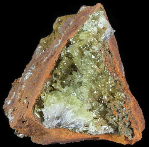 Gemmy, Yellow-Green Adamite Crystals - Durango, Mexico #65310